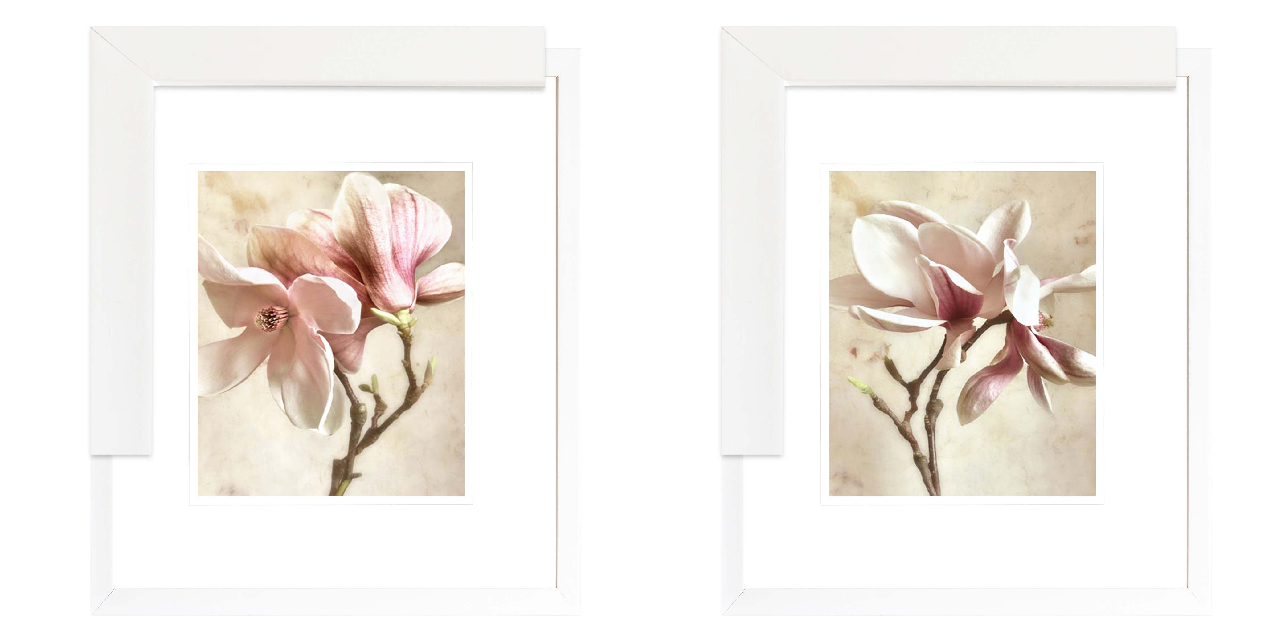 FP247 Wall décor art framed print set of 2 floral white frame